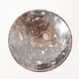 Empty pocket in fossilized black marble