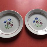 Set of 10 flat plates