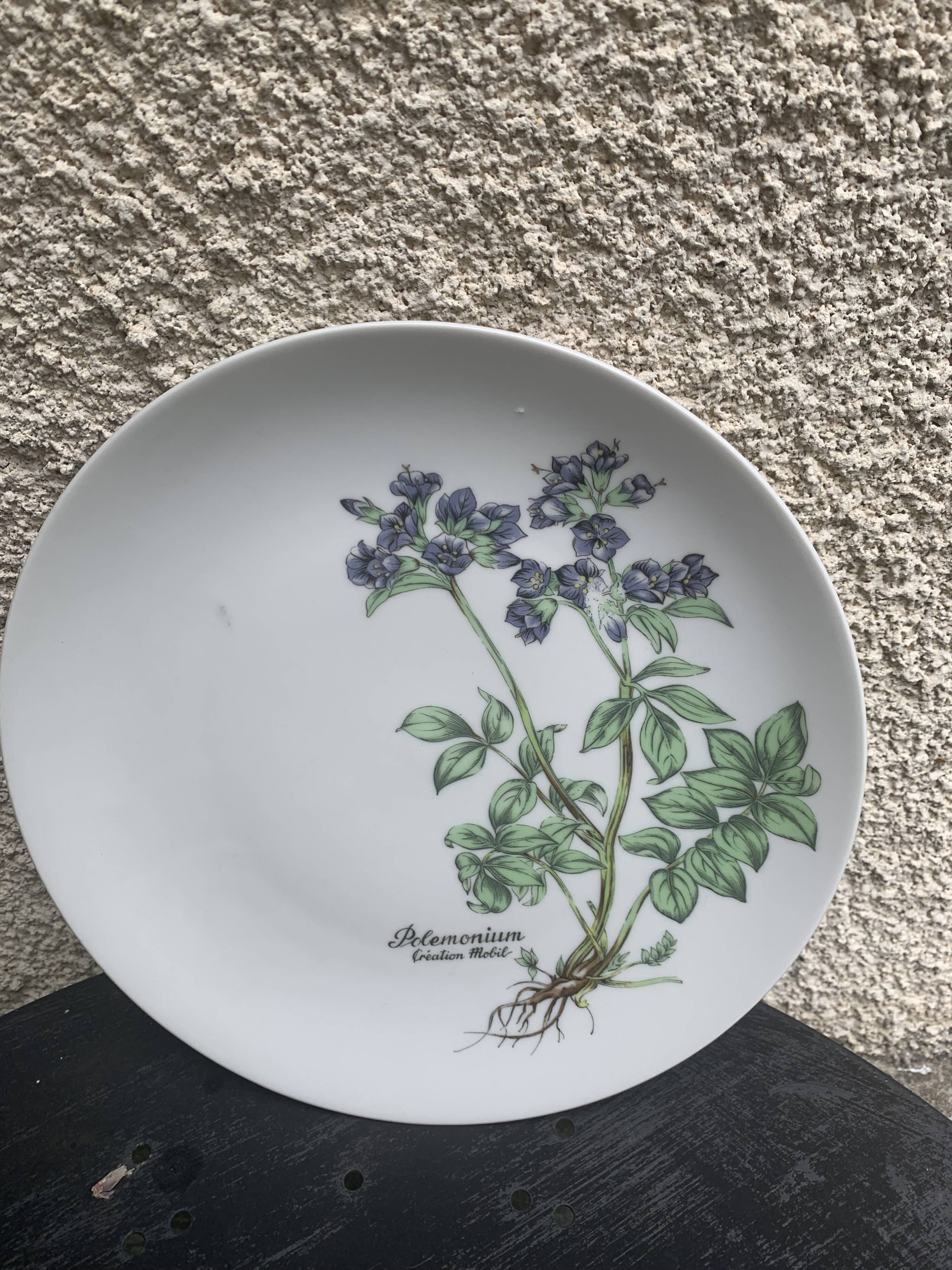 6 winterling bavaria porcelain herbarium pattern flat plates