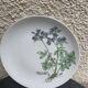 6 assiettes plates motif herbier en porcelaine winterling bavaria