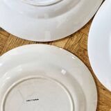 8 mismatched old plates