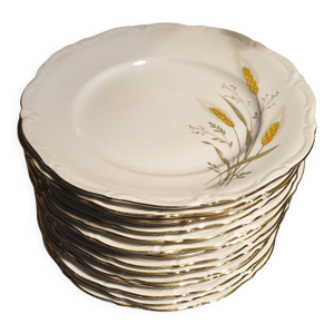 assiettes plates porcelaine