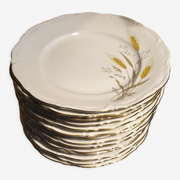 Flat plates shiny porcelain 23,7cm