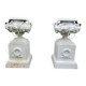 Vases anciens en fonte orné d'une tête de lion et de fleurs