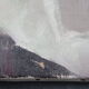 Table oil on canvas representing a small flowering plant