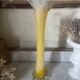 Murano 80's calla arum vase