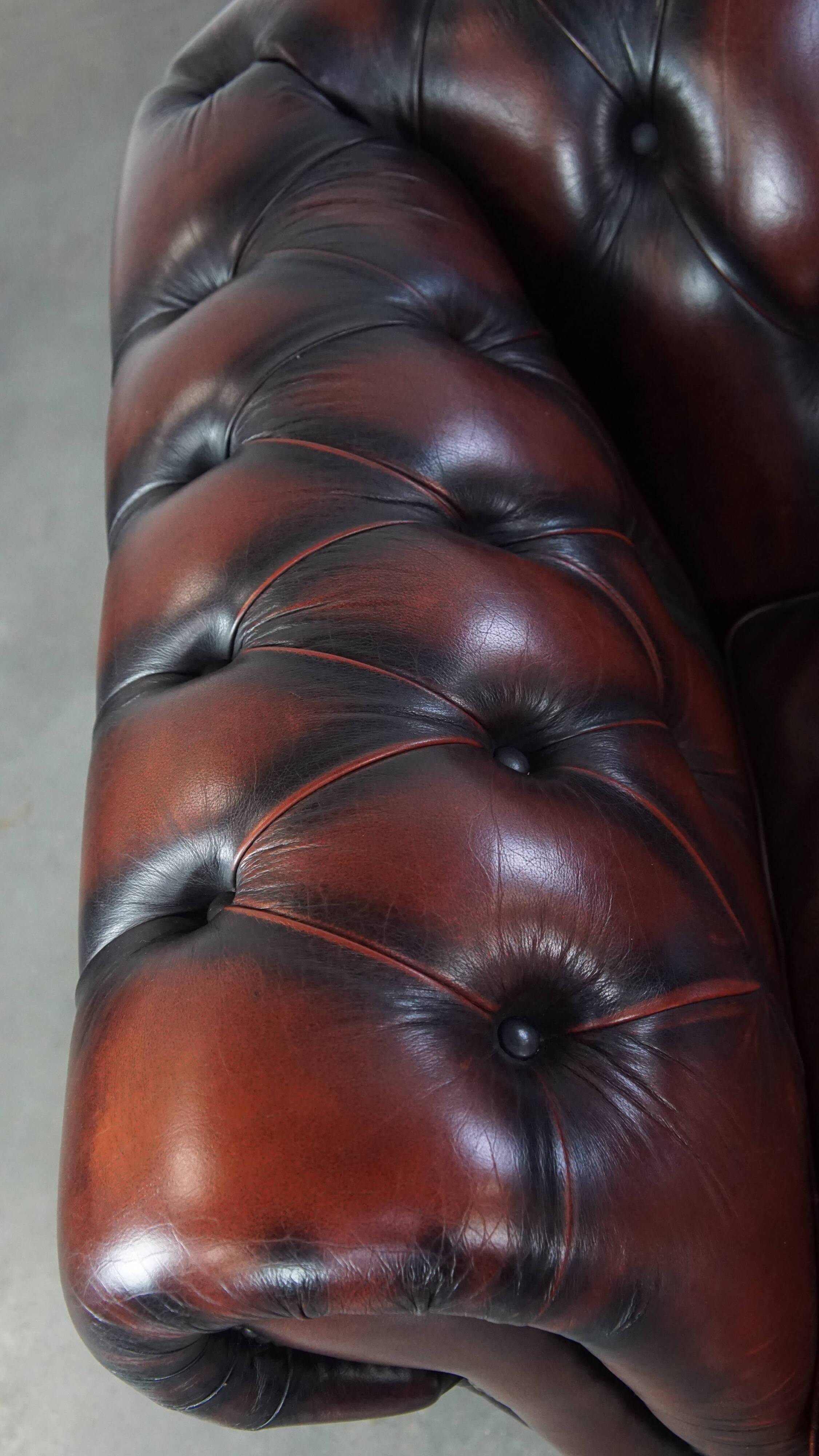 2.5-seater Chesterfield sofa in dark red flamed cowhide leather
