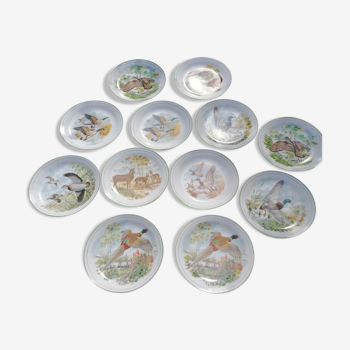 12 assiettes décor oiseaux