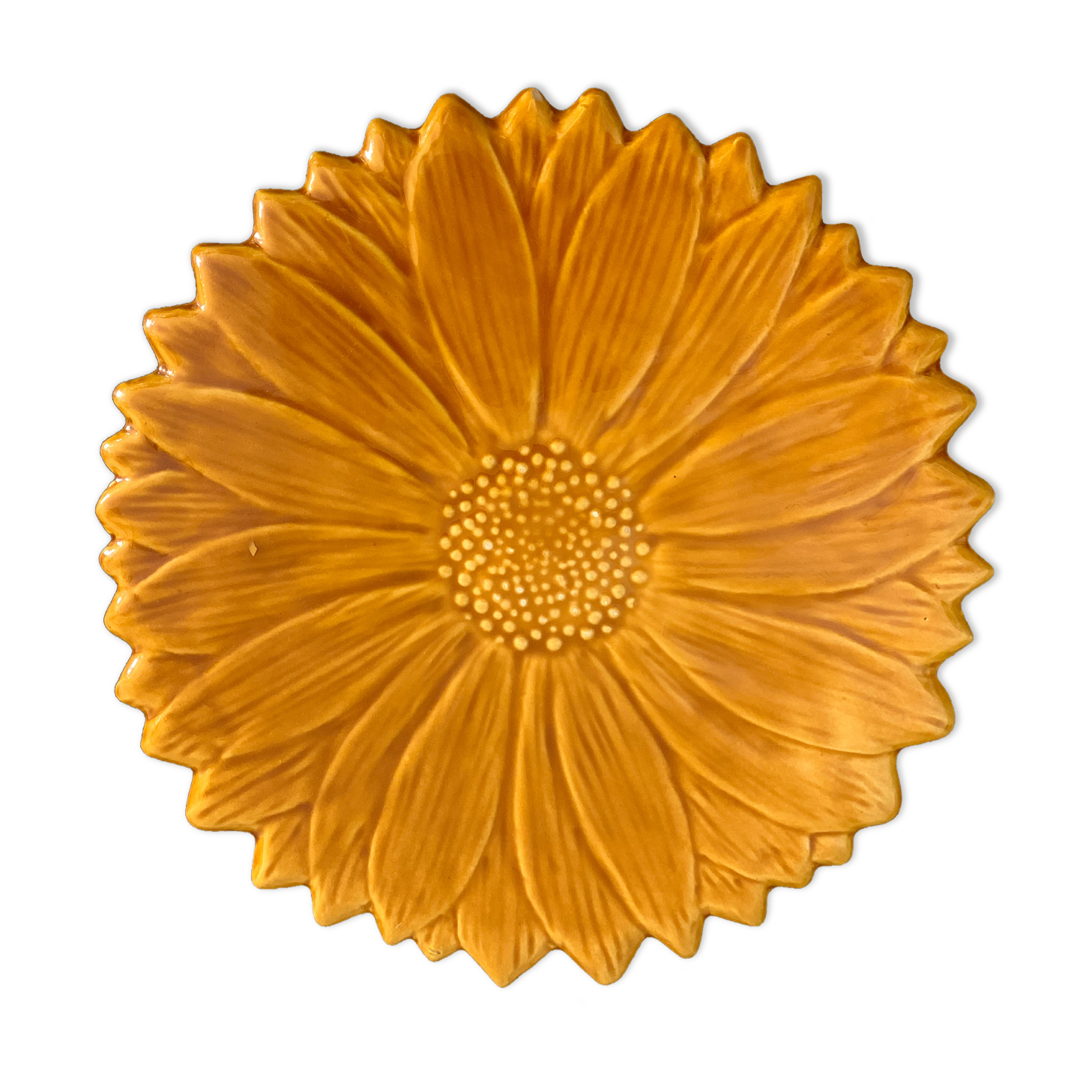 Underside Vallauris Aegitna, Saltalamacchia, sunflower model