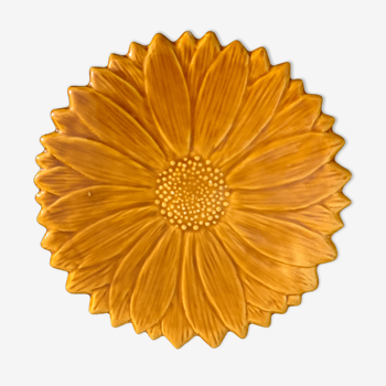 Underside Vallauris Aegitna, Saltalamacchia, sunflower model