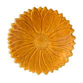Underside Vallauris Aegitna, Saltalamacchia, sunflower model
