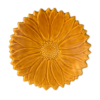 Underside Vallauris Aegitna, Saltalamacchia, sunflower model