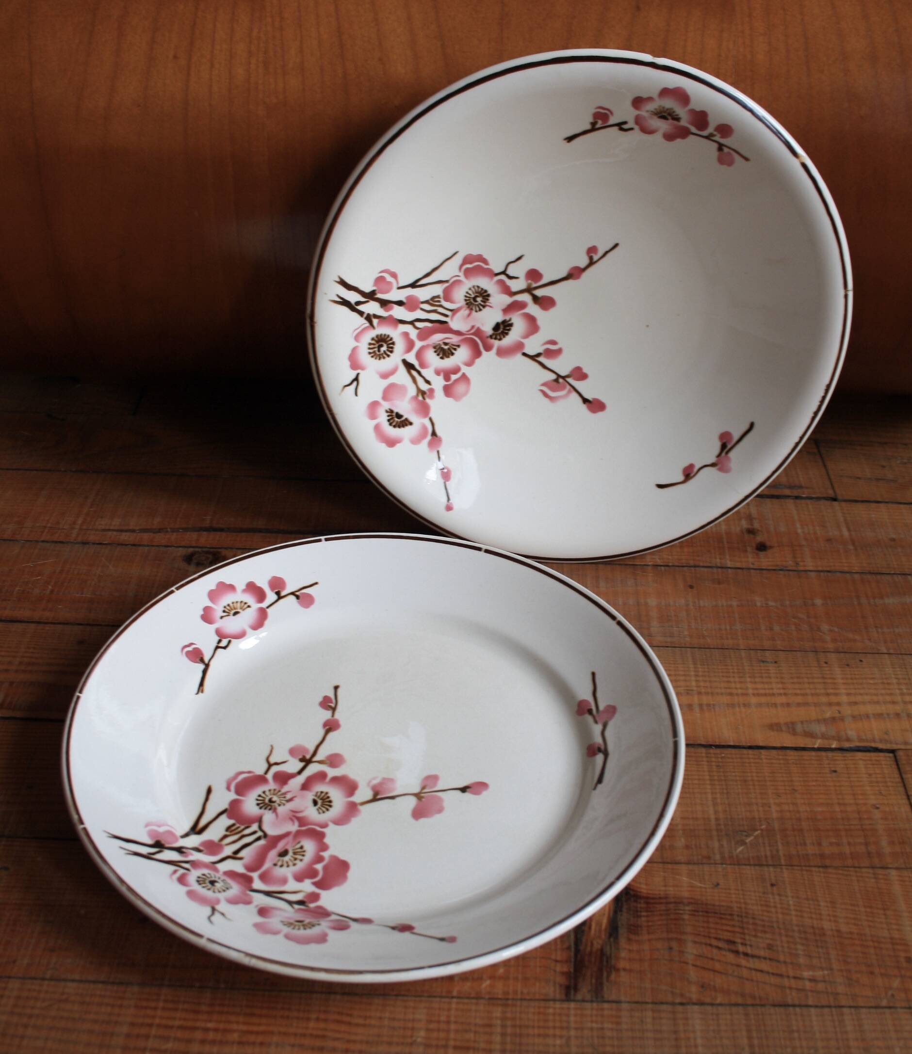set of 2 dishes/large plates St Amand Terre de Fer "cherry"