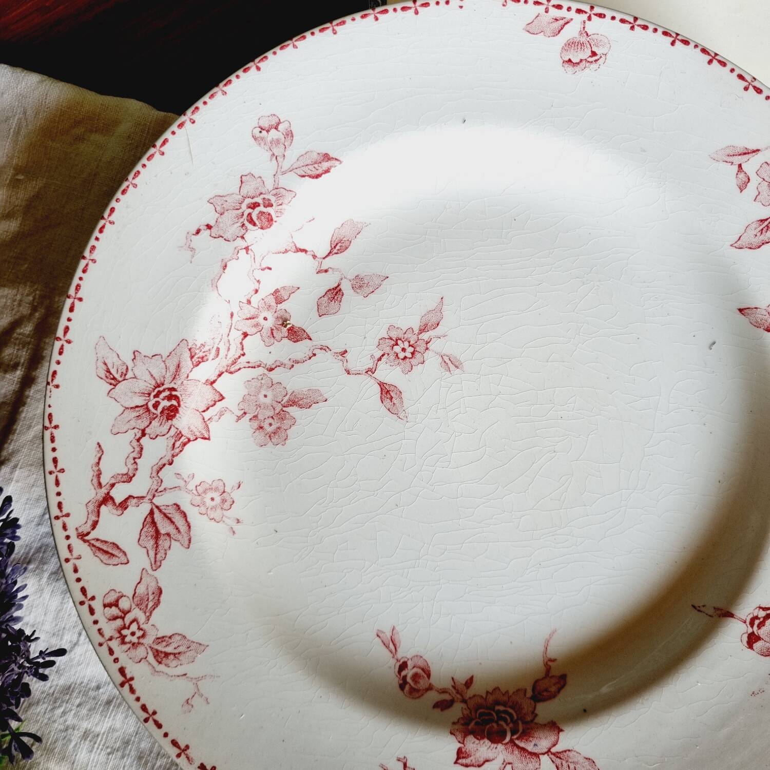 Lot de 6 assiettes plates terre de fer dépareillées