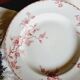 Lot de 6 assiettes plates terre de fer dépareillées