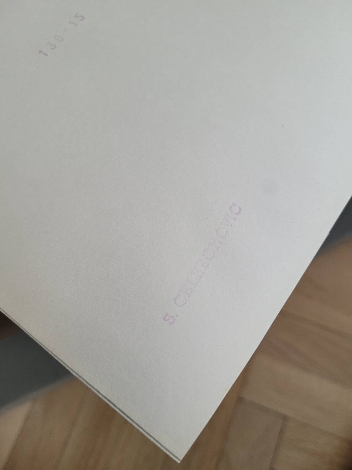 Pair of old silver photographs of insects S Celebonovic