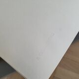 Pair of old silver photographs of insects S Celebonovic