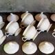 Set of seven covered pots and tray old white slurry nineteenth