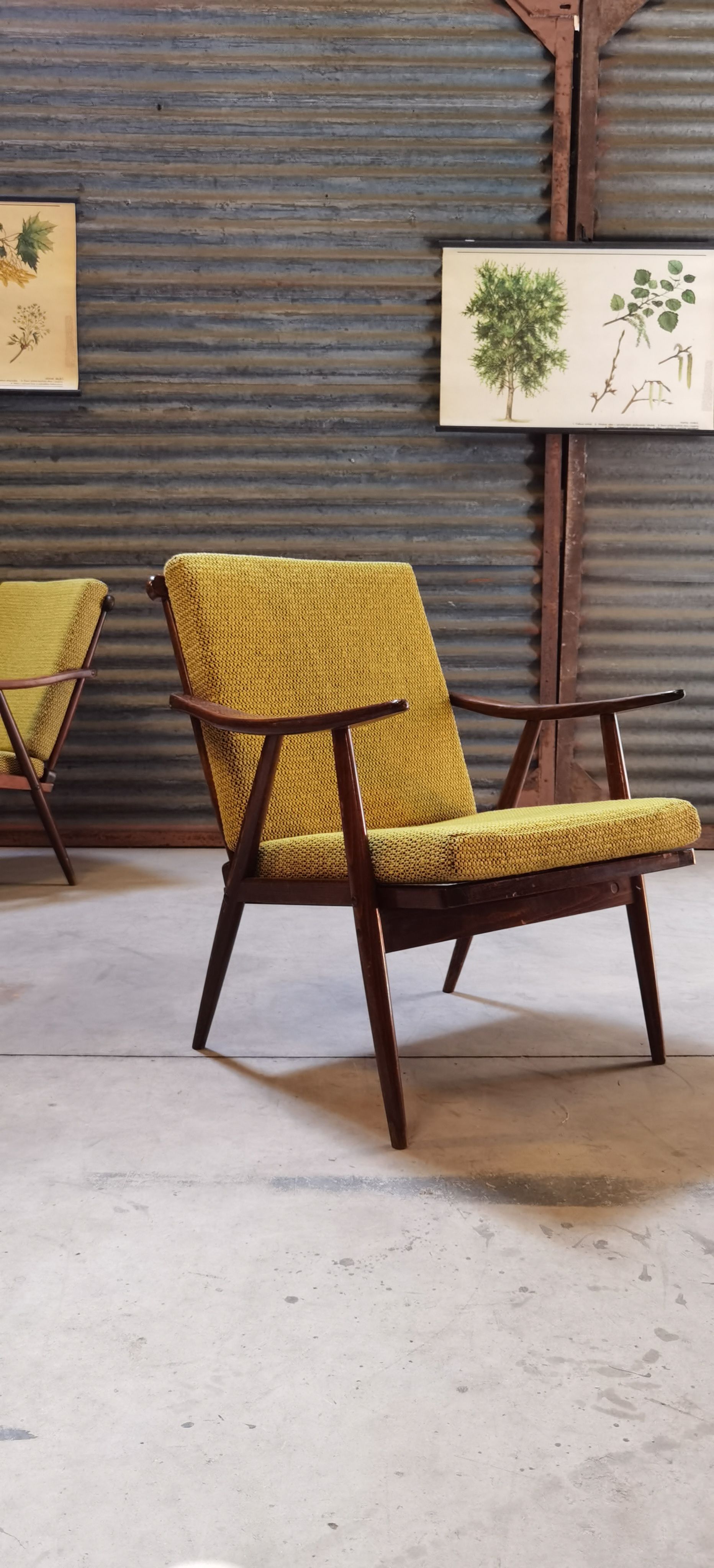 Pair of boomerang armchairs TON Bystřice (Thonet) by Antonin Suman 1960