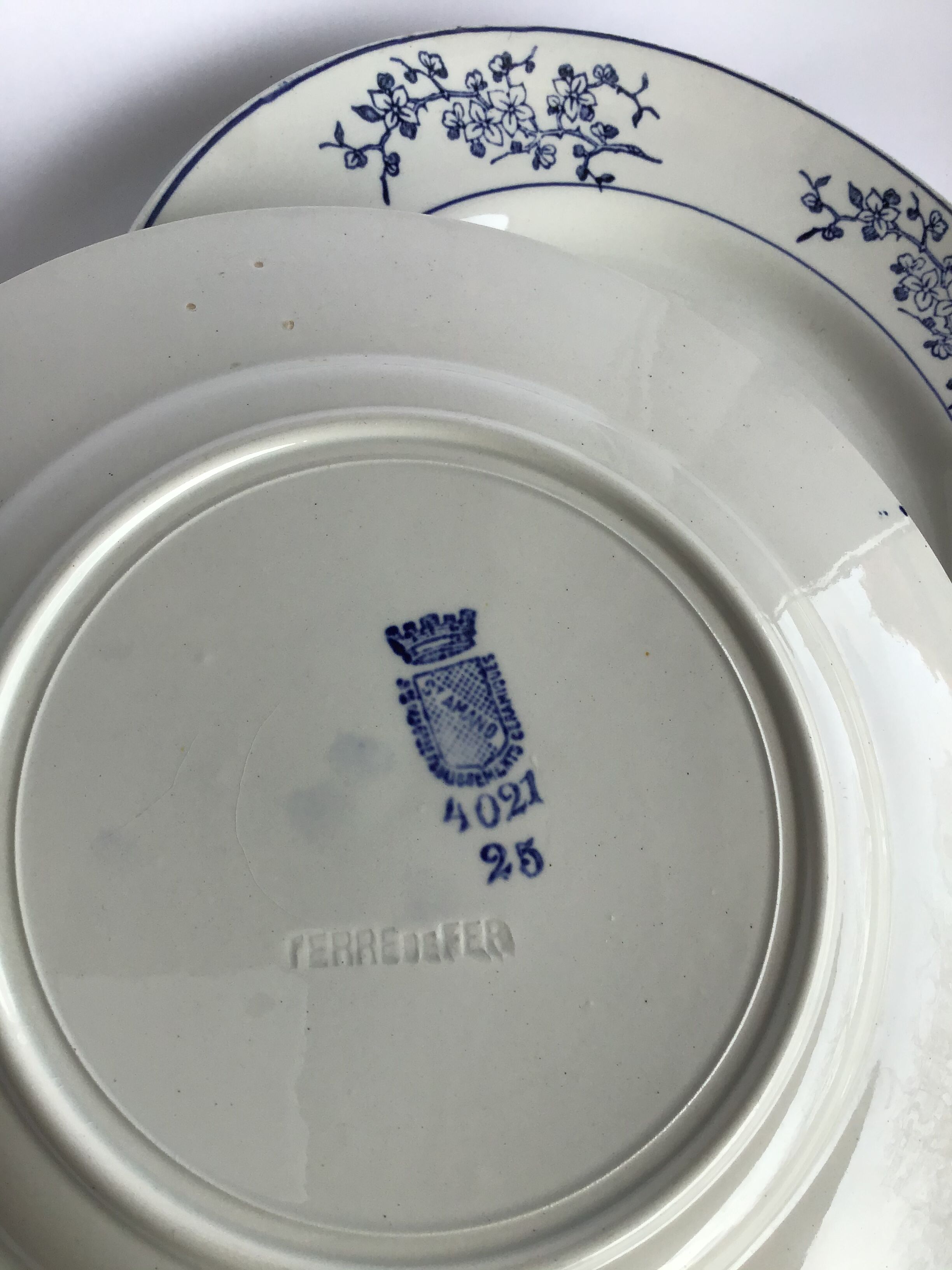 Paire assiettes Terre de Fer St Amand marine et blanc