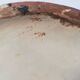 Large old ceramic vase signed