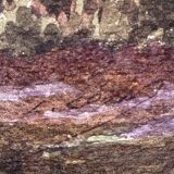 Watercolor "the pond in the undergrowth" signed early XX °