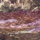 Watercolor "the pond in the undergrowth" signed early XX °