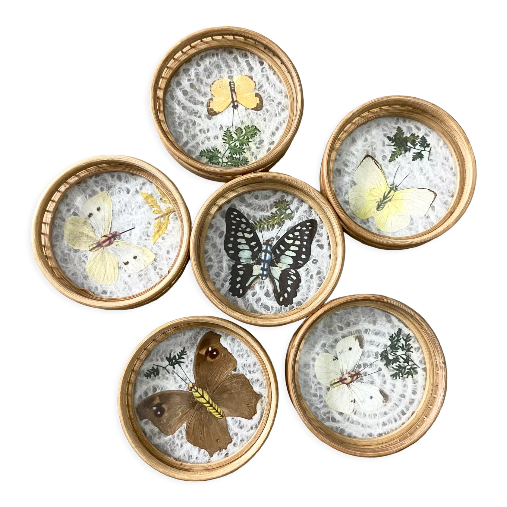 Butterfly coasters