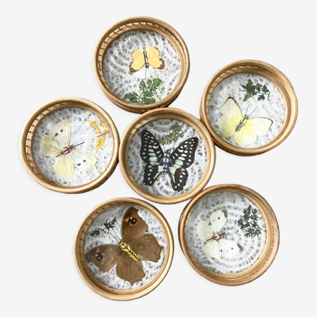 Butterfly coasters