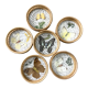 Butterfly coasters