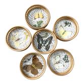 Butterfly coasters