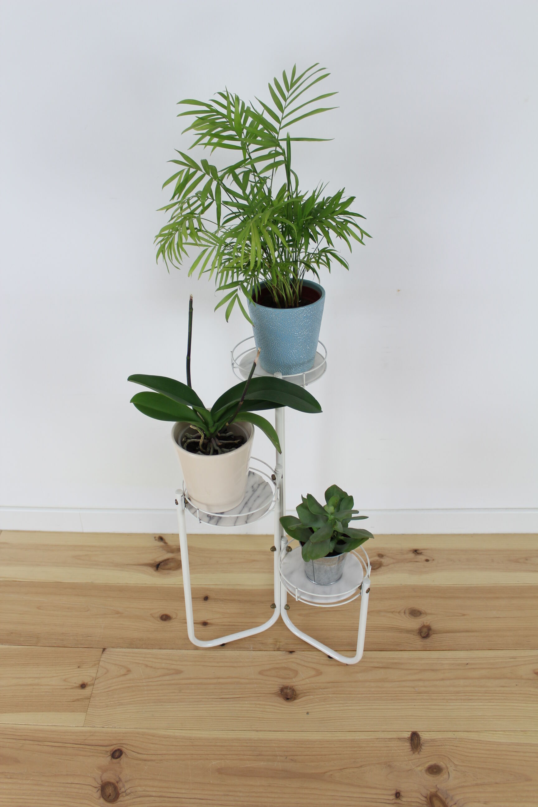 Door plant in white metal and marble