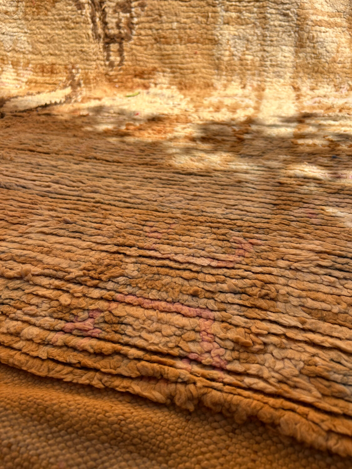 Saffron rug 360x177cm