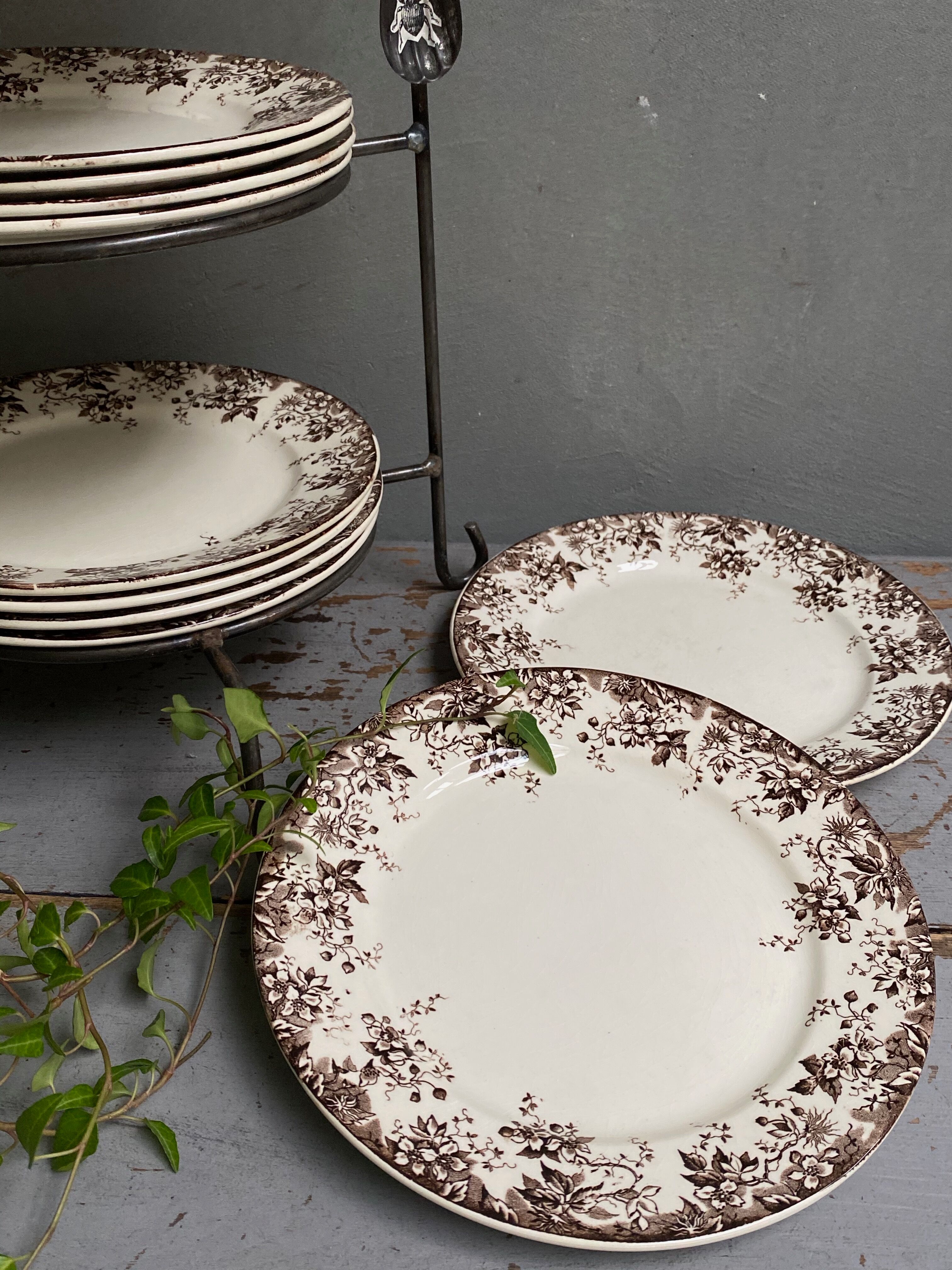Sarreguemines earthenware dessert plates