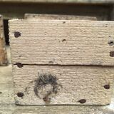 Shelf antique wooden grocery store