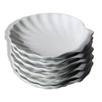 White shell cup