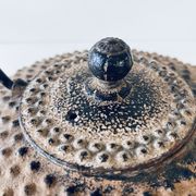 Ancient Japanese teapot in cast iron