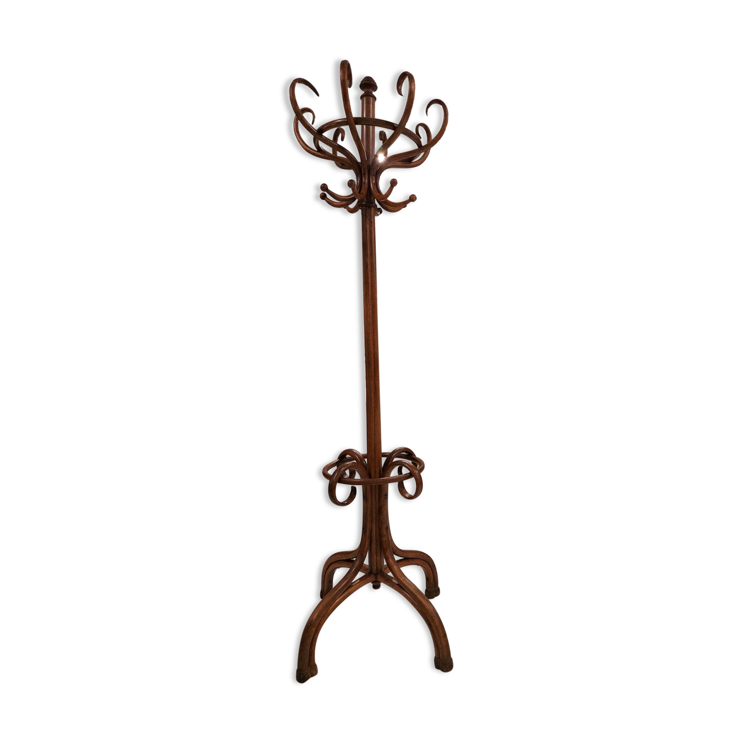 Peroquet coat rack by michael thonet 1900s