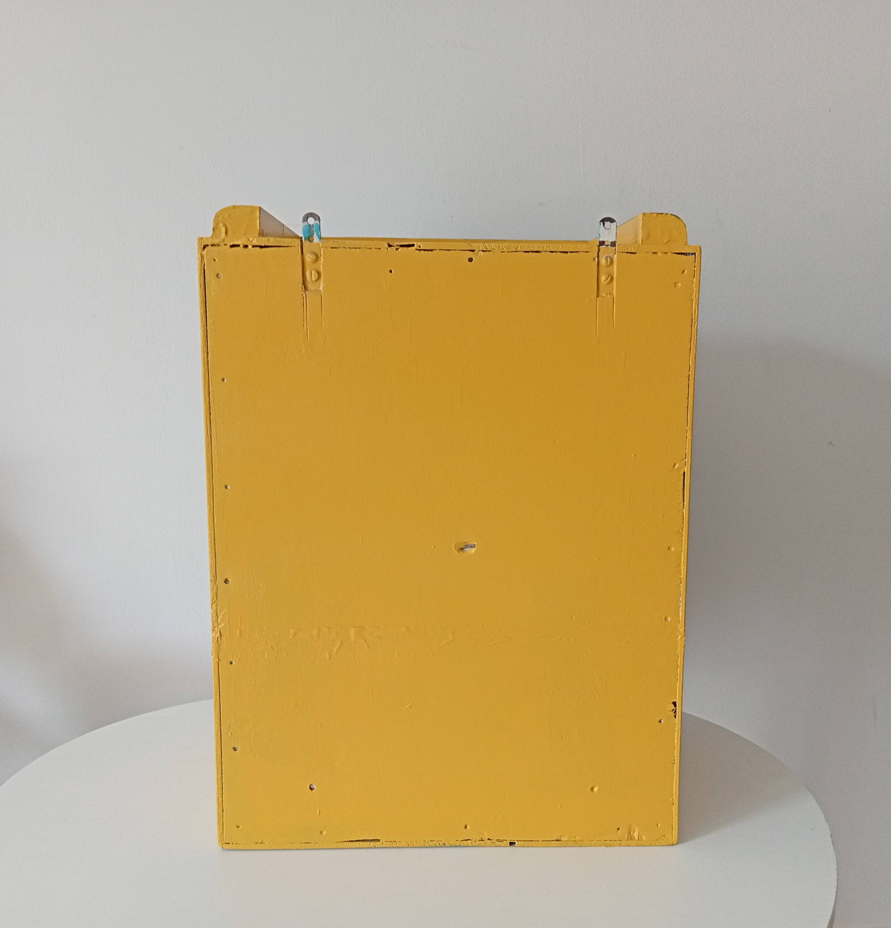 Vintage medicine cabinet 50s/60s