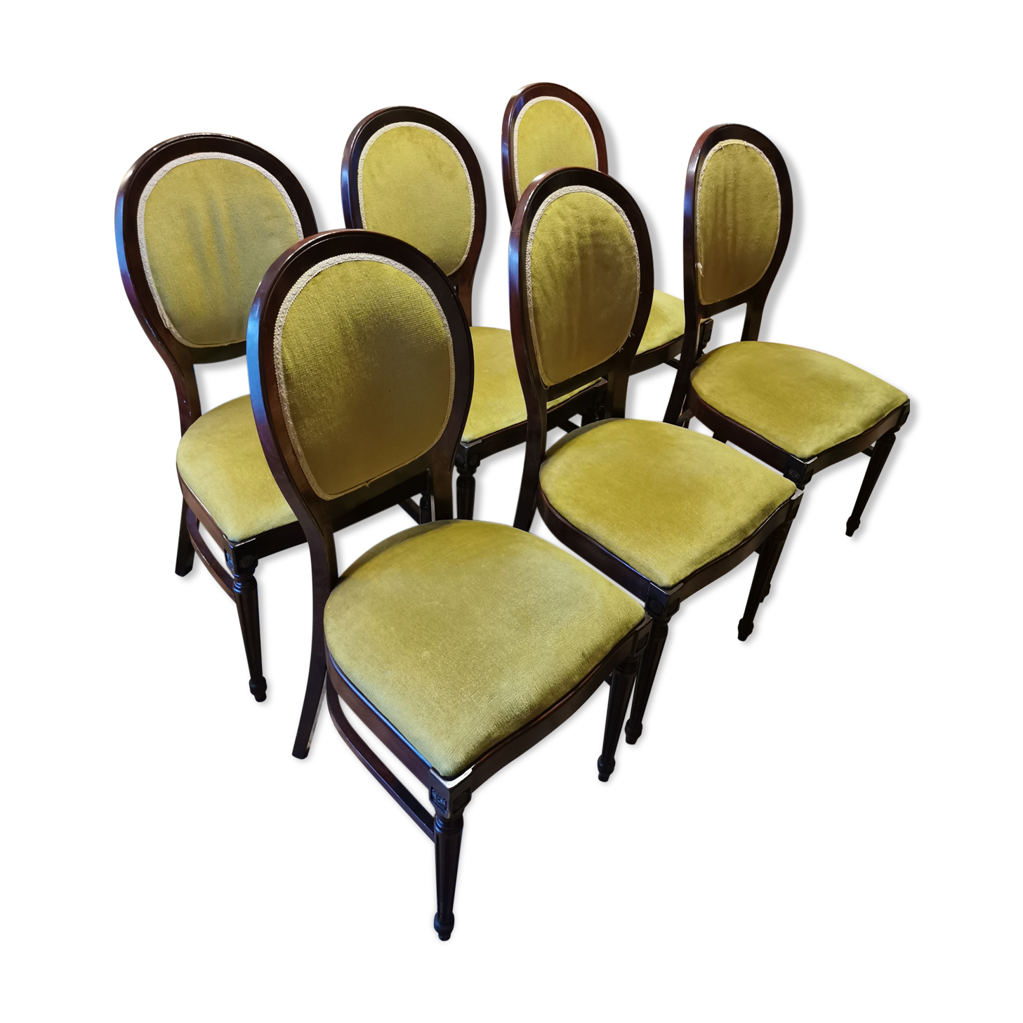 6 medallion chairs