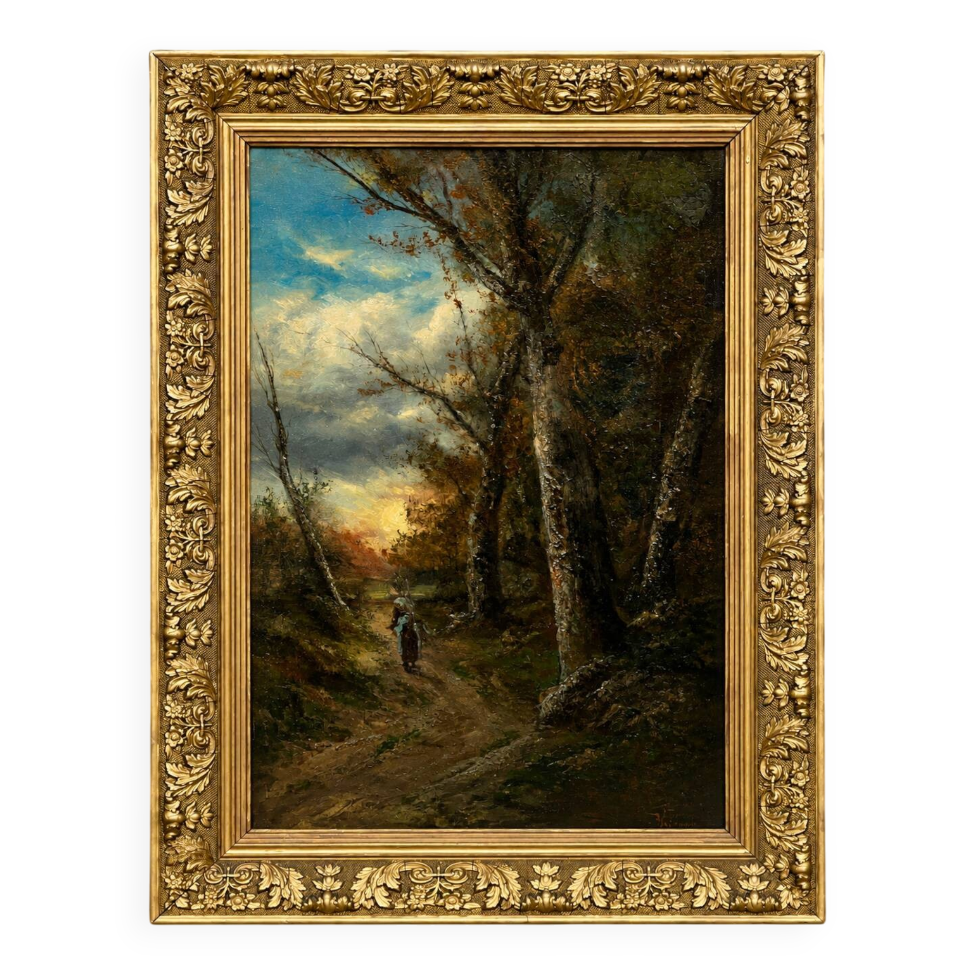 Ancient forest landscape in a beautiful setting.