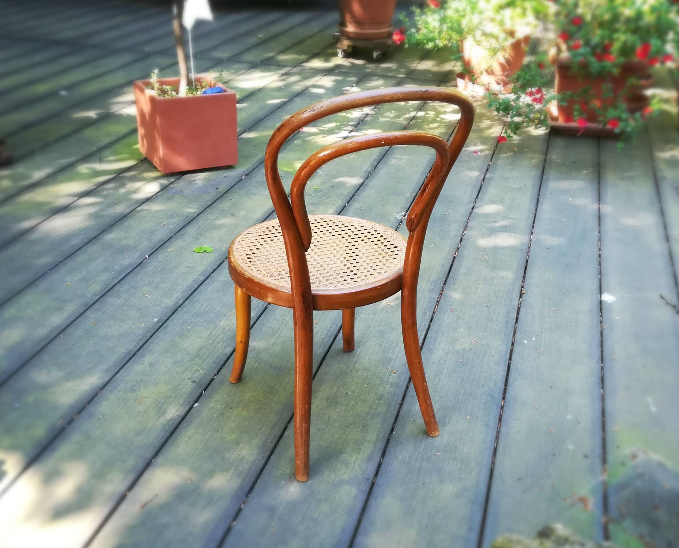 JJ Kohn, caned bistro chair for children, circa 1900