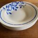Hollow plates ceranord saint amand blue flower