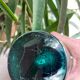 Shell crystal art sculpture vase by Paul Kedelv for Flygsfors, Scandinavian glass