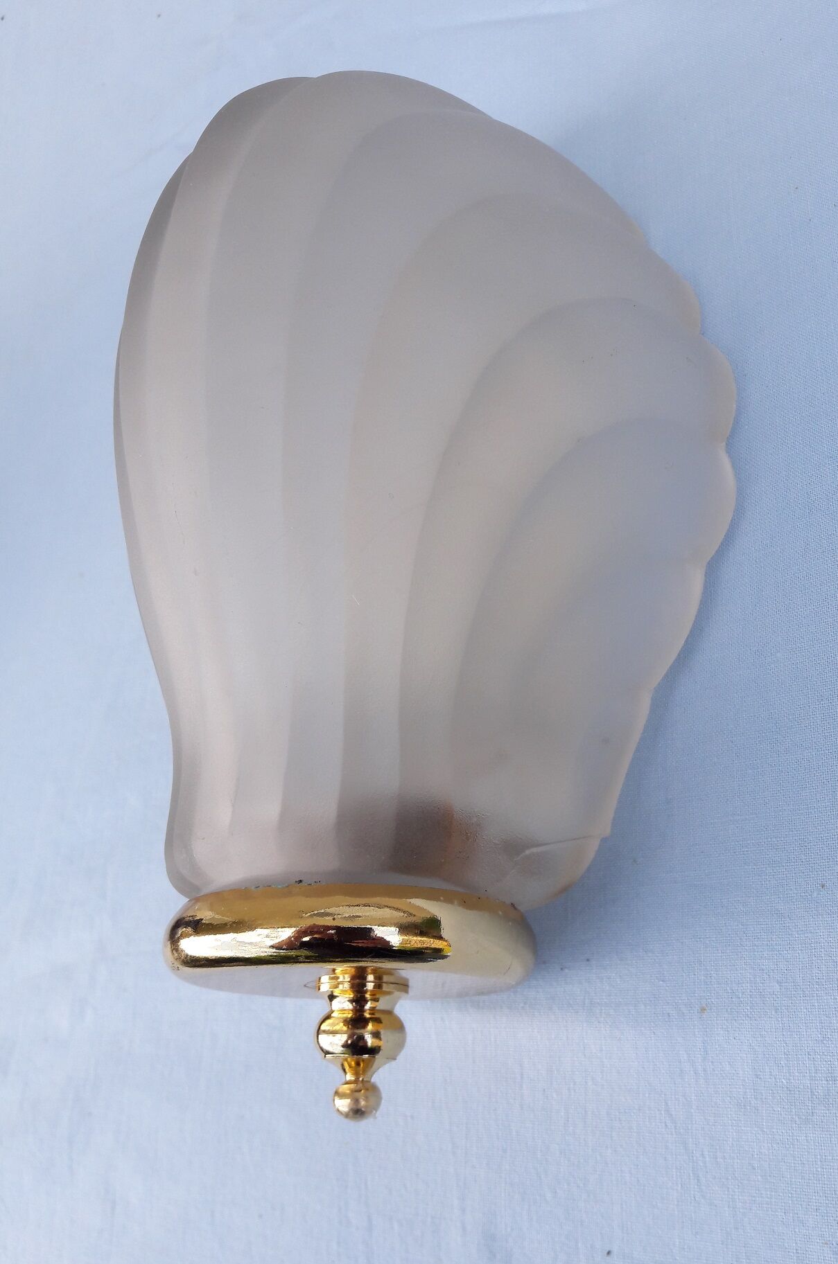 Shell wall lamp