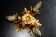 Banci firenze gilded flush mount italian wall lamp, 1960s