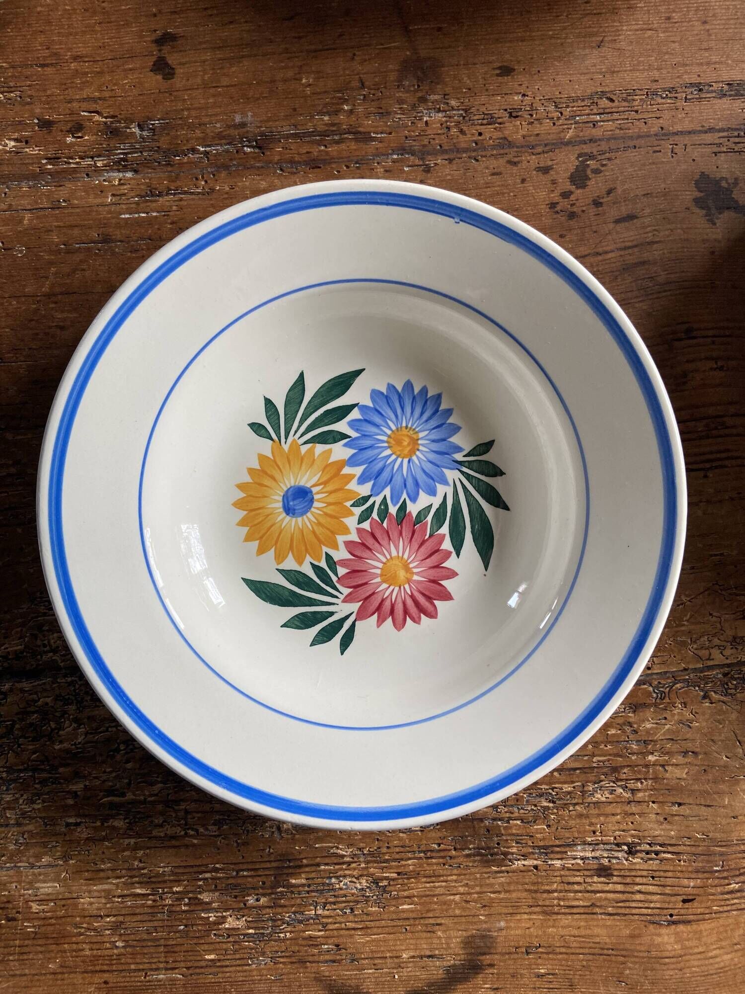 Iron earth plates Blue and pink floral pattern 10 pieces
