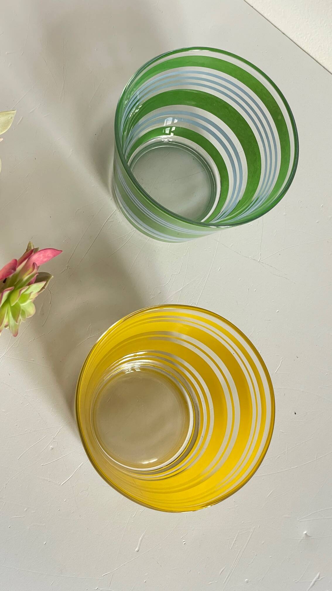 Pair of VINTAGE Silkscreened Glass Plant Pots