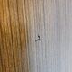 Vintage 1960s two-door wardrobe