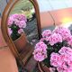 Arched rattan mirror with shelf/vintage 60s-70s